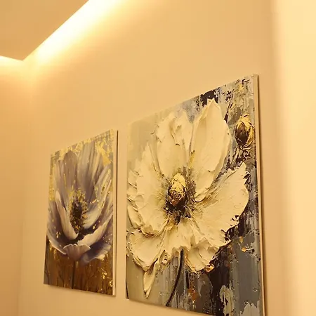 Nova Luxury Apartamento
